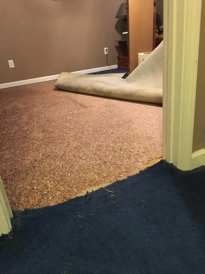 Carpet pad removal revealing water damage during Water Mitigation Services in Midway