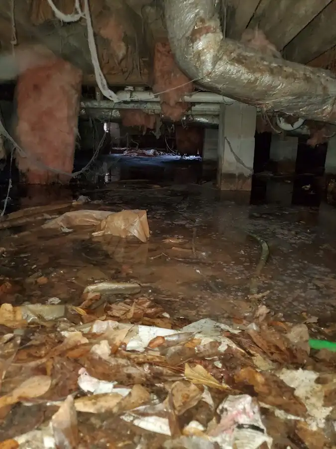 Crawl space flood assessment for Leak Detection & Repair in Midway